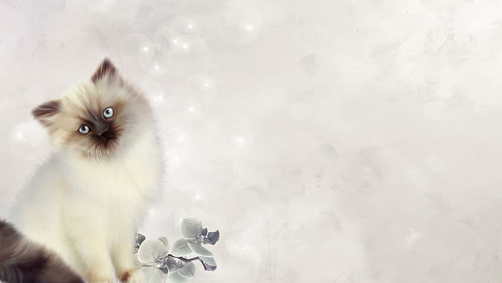 Elegant Kitten, feline, kitten, flower, cute, animal, animals, HD wallpaper