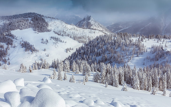 눈 산, 자연, 눈, 나무, 풍경, 산, HD 배경 화면