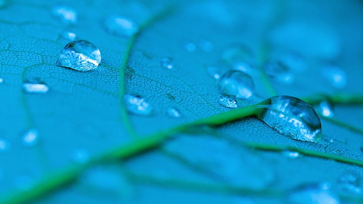 waterdrop, blue, drop, dew, macro photography, moisture, leaf, close up, turquoise, water drops, droplets, HD wallpaper