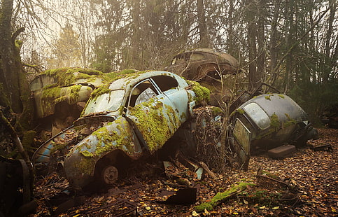 car, vehicle, wreck, moss, rust, HD wallpaper HD wallpaper
