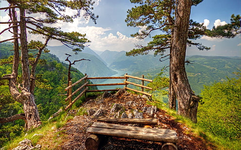 المناظر الطبيعية الجبلية تارا صربيا خلفية عالية الدقة، خلفية HD HD wallpaper