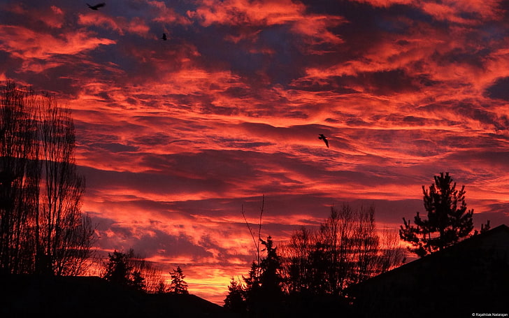 cielo, naturaleza, nubes, rojo, วอลล์เปเปอร์ HD