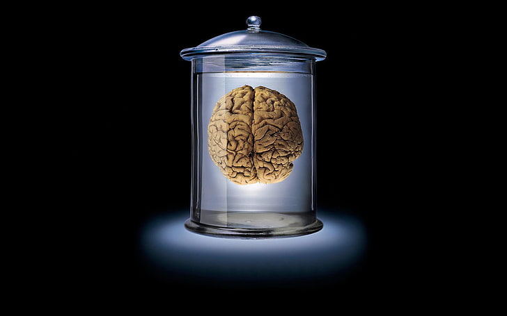cervello, vaso di vetro, retroilluminazione, sfondo scuro, arte digitale, Sfondo HD