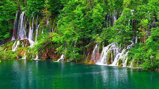 Хорватия, Европа, водопады, красивые, Плитвицкие озера, озеро, удивительно, национальный парк, Национальный парк Плитвицкие озера, водопад, вода, природа, растительность, водоем, HD обои HD wallpaper