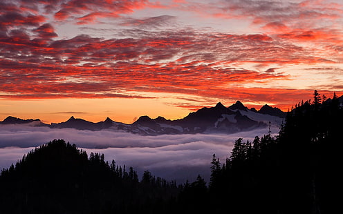 wald, beschaffenheit, landschaft, see, berg, 4k, ultrahd, nebel, HD-Hintergrundbild HD wallpaper