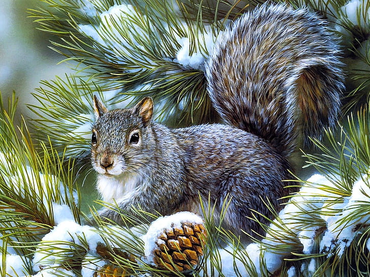 Animal Christmas Słodka zimowa wiewiórka Zwierzęta Wiewiórki HD Sztuka, natura, zwierzę, Boże Narodzenie, śnieg, wiewiórka, sosna, Tapety HD