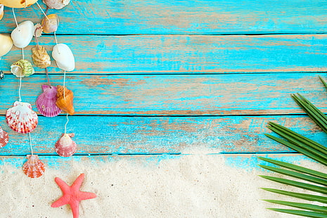 sand, beach, background, Board, star, shell, summer, wood, marine, starfish, seashells, HD wallpaper HD wallpaper