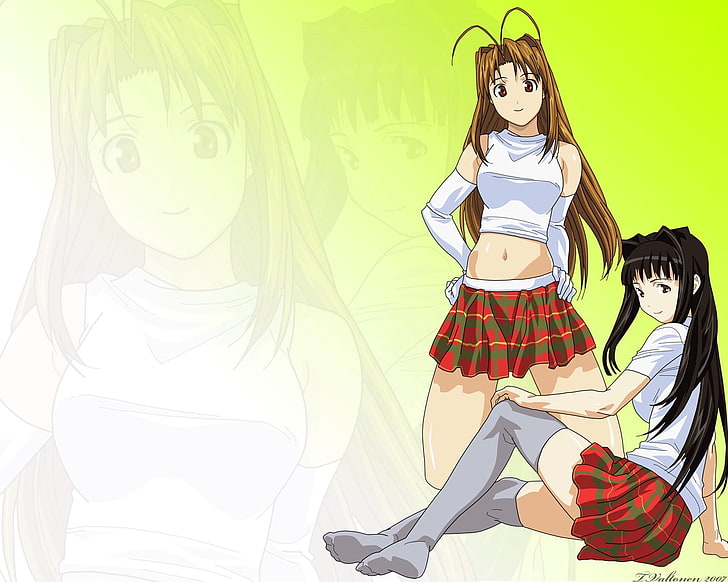 two female anime character wallpaper, love hina, narusegawa naru, aoyama motoko, girl, skirt, stockings, smiles, HD wallpaper