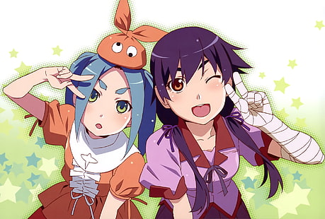 Anime, Monogatari (Serie), Suruga Kanbaru, Yotsugi Ononoki, HD-Hintergrundbild HD wallpaper