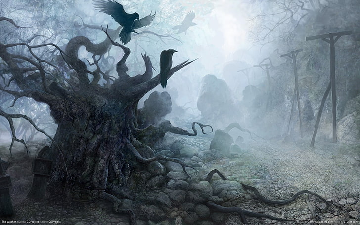 forêt sombre, corbeaux, brouillard, vautour, thème sombre, fantaisie, Fond d'écran HD