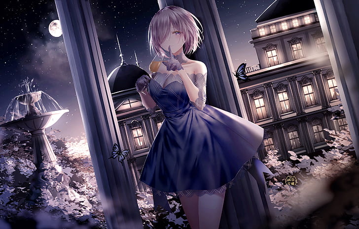 Fate Series, Fate/Grand Order, Girl, Mashu Kyrielight, Night, HD wallpaper