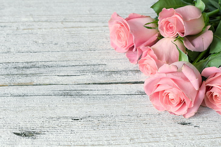 close-up photography of pink rose flowers, flowers, roses, bouquet, pink, wood, HD wallpaper