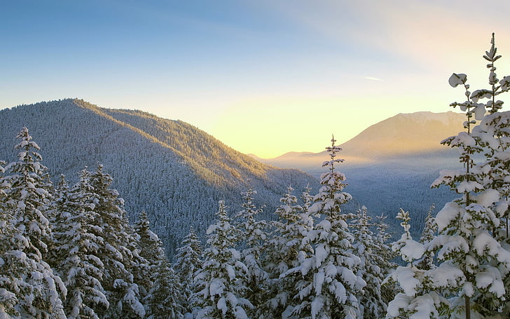 fotografie, natur, landschaft, bäume, pflanzen, berge, winter, schnee, HD-Hintergrundbild