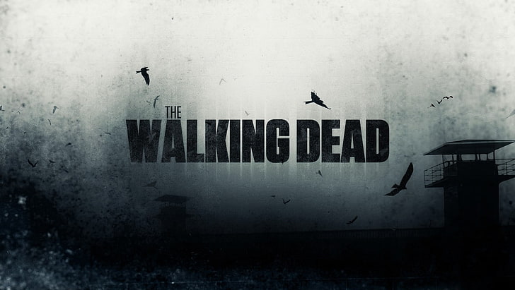 The Walking Dead, HD masaüstü duvar kağıdı