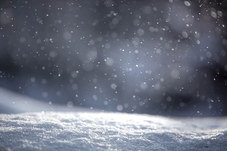 winter, snow, december, nature, snowflakes, HD wallpaper