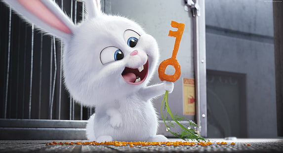 만화, 토끼, 2016 년 최고의 애니메이션 영화, 애완 동물의 비밀 생활, HD 배경 화면 HD wallpaper