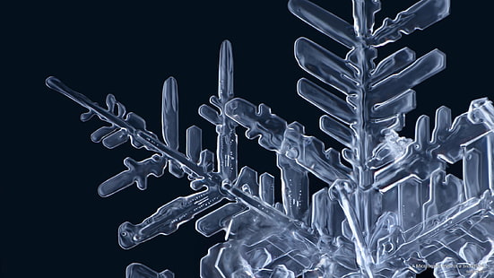 Pandangan Mikroskopis tentang Kepingan Salju, Musim Dingin, Wallpaper HD HD wallpaper