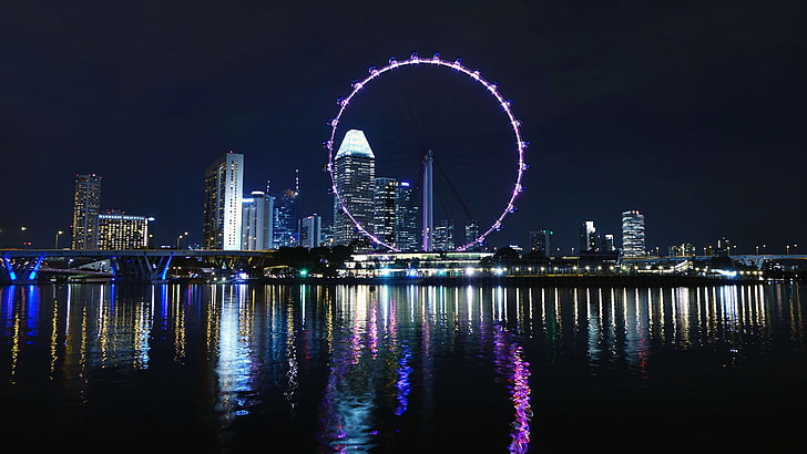 buildings, city, cityscape, dark, downtown, ferris wheel, lights, night, reflection, river, singapore, singapore flyer, skyline, skyscrapers, HD wallpaper