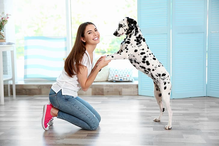 gadis, suasana hati, anjing, Dalmatian, Wallpaper HD