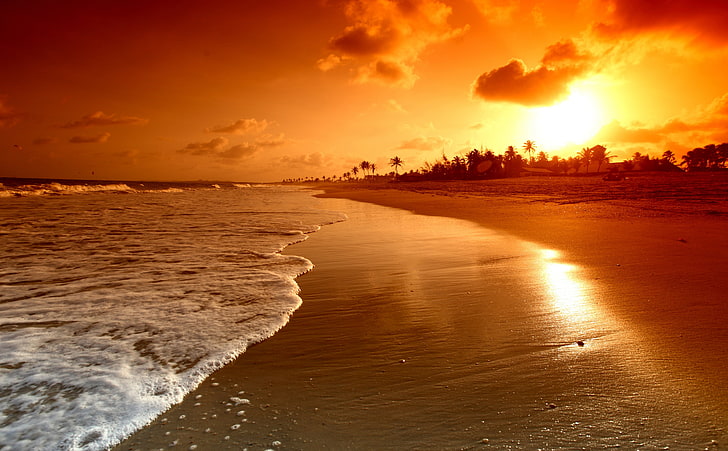 Strandsoluppgång, havsvåg vid tapeten för den gyllene timmen, natur, strand, vatten, landskap, soluppgång, HD tapet