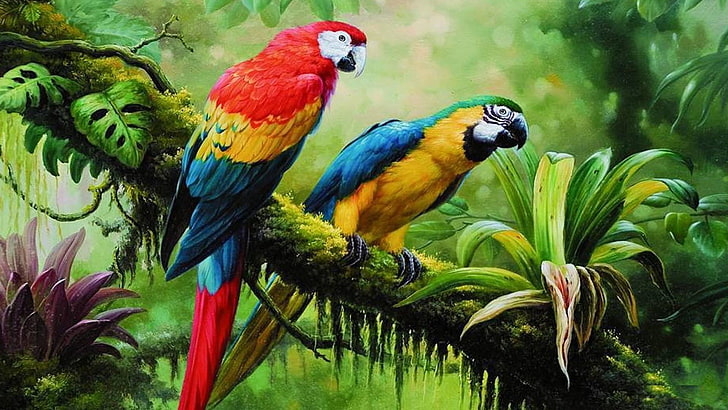 bird, parrot, jungle, brach, parrots, painting art, painting, birds, tropical forest, forest, wildlife, HD wallpaper