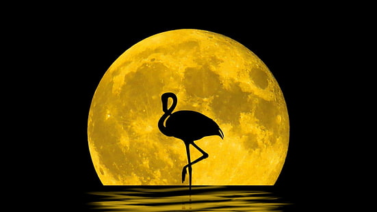 full moon, flamingo, silhouette, bird, moon, sea, night, water bird, moonlight, darkness, celestial event, HD wallpaper HD wallpaper