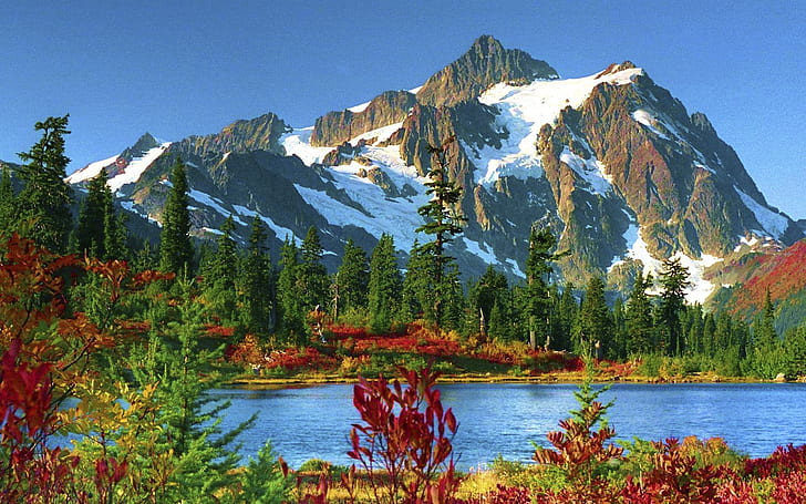 خلفيات جبل بيكر Snoqualmie الوطنية للغابات عالية الدقة 584053، خلفية HD