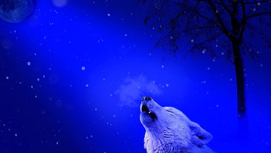 wilk, wycie, wycie wilka, noc, księżyc, biały wilk, fantasy art, ciemność, drzewo, Tapety HD HD wallpaper