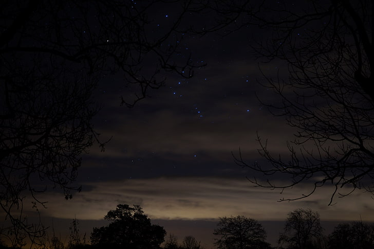 yeşil yaprak ağaç, Gadfield Elm, Gloucestershire, gece gökyüzü, yıldızlı gece, El değmemiş, HD masaüstü duvar kağıdı