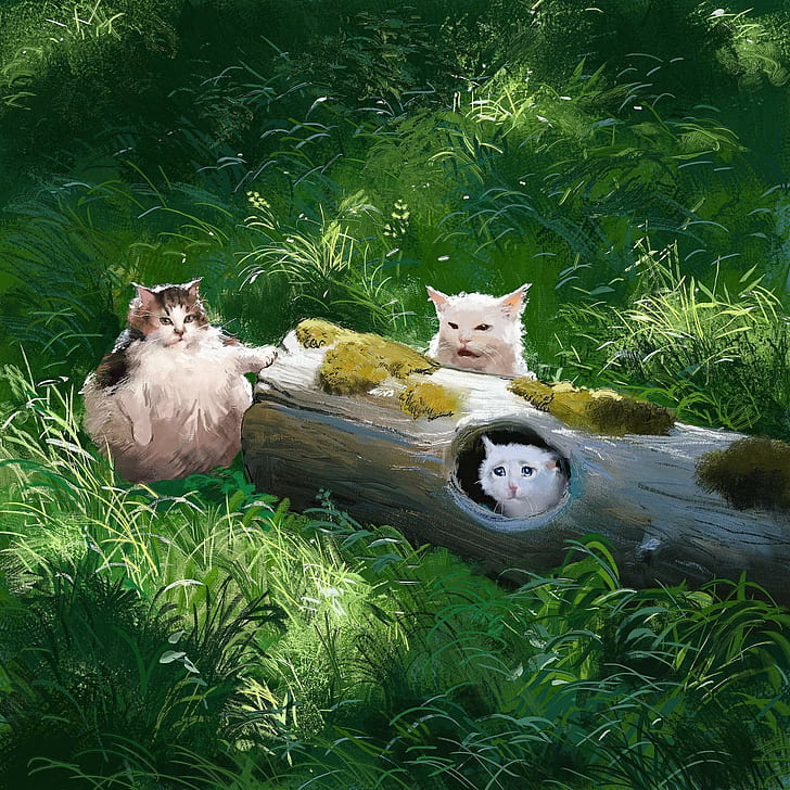 кошки, мемы, природа, деревья, трава, юмор, HD обои