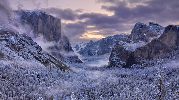pohon-pohon hutan ditutupi dengan lapangan salju, fotografi gunung dan hutan, alam, salju, pohon, pegunungan, Taman Nasional Yosemite, musim dingin, Wallpaper HD