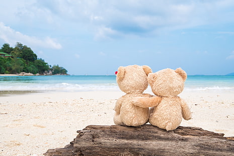 пясък, море, плаж, любов, играчка, мечка, двойка, дъска, две, романтична, двойка, плюшено, сладко, HD тапет HD wallpaper