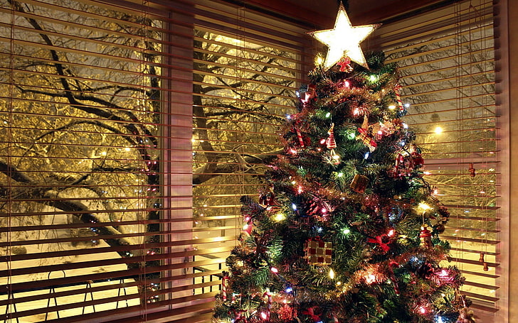 árbol de navidad verde y rojo, luces de navidad, adornos navideños, árboles, Fondo de pantalla HD