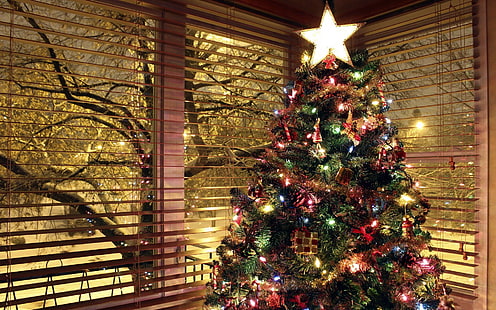 albero di Natale verde e rosso, luci natalizie, ornamenti natalizi, alberi, Sfondo HD HD wallpaper