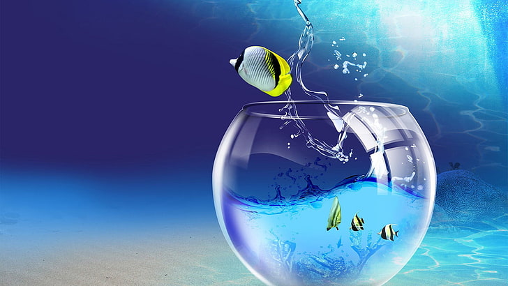 Agua vista 3d resumen océano vidrio cgi acuario gotas de agua modelado 3d 3d  resumen 3d reflexiones u Naturaleza Océanos HD Art, Fondo de pantalla HD |  Wallpaperbetter