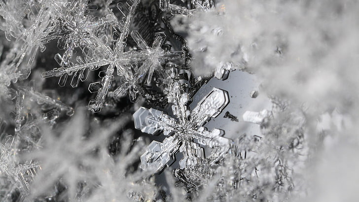 clear snowflake, ice, macro, HD wallpaper
