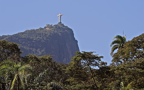 リオデジャネイロのキリスト像の救い主像の木HD、自然、木、像、デ、リオ、キリスト、ジャネイロの像、救い主、 HDデスクトップの壁紙 HD wallpaper