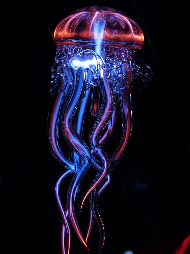 ubur-ubur, gelas, cahaya, buatan, tentakel, bersinar, Wallpaper HD, wallpaper seluler