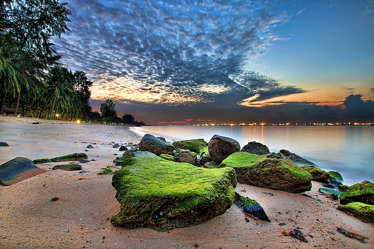 pantai, pohon-pohon palem, pasir, laut, awan, Singapura, batu, alam, lanskap, HDR, Wallpaper HD
