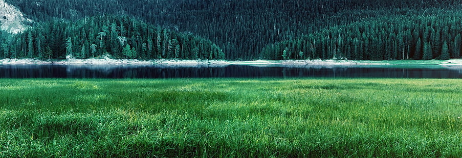 поле зеленой травы, зеленый, озеро, горы, лес, трава, весна, вода, панорамы, деревья, природа, пейзаж, HD обои HD wallpaper