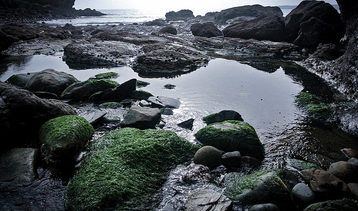 algae, beach, cornwall, moss, ocean, pebble beach, pebbles, puddle, reflection, reflections, rockpool, rocks, sea, sea shells, seascape, shells, water, wet, HD wallpaper