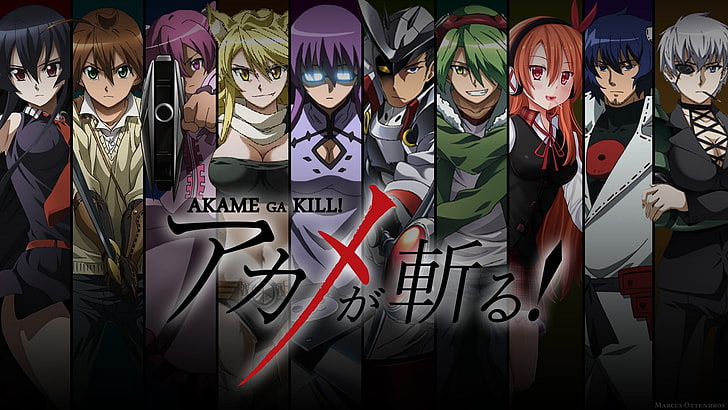 две разные карточки для покемонов, Akame ga Kill !, Leone, Sheele, Akame, Tatsumi, Susanoo (персонаж), HD обои