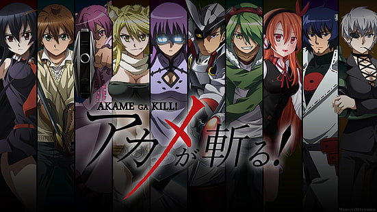 بطاقتا تداول بوكيمون متنوعان ، Akame ga Kill !، Leone ، Sheele ، Akame ، Tatsumi ، Susanoo (شخصية)، خلفية HD HD wallpaper
