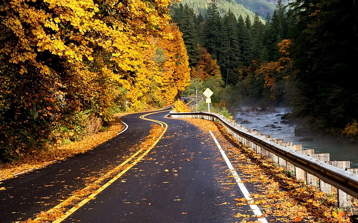 серая бетонная дорога, фотография, природа, пейзаж, дорога, река, лес, осень, листья, горы, деревья, жёлтый, листва, асфальт, HD обои