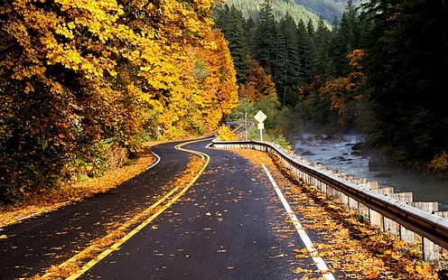 сив бетонен път, фотография, природа, пейзаж, път, река, гора, падане, листа, планини, дървета, жълто, зеленина, асфалт, HD тапет HD wallpaper