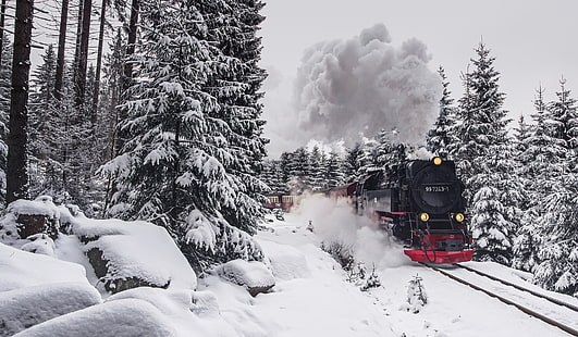 treno, veicolo, treno a vapore, inverno, Harz, Sfondo HD HD wallpaper