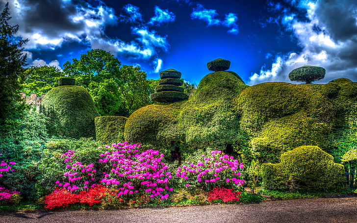 the sky, clouds, trees, flowers, design, Park, England, the bushes, Tatton Park, HD wallpaper