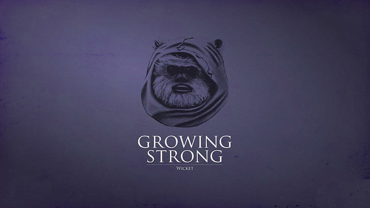 Ewok, growing strong, funny, 1920x1080, ewok, HD wallpaper