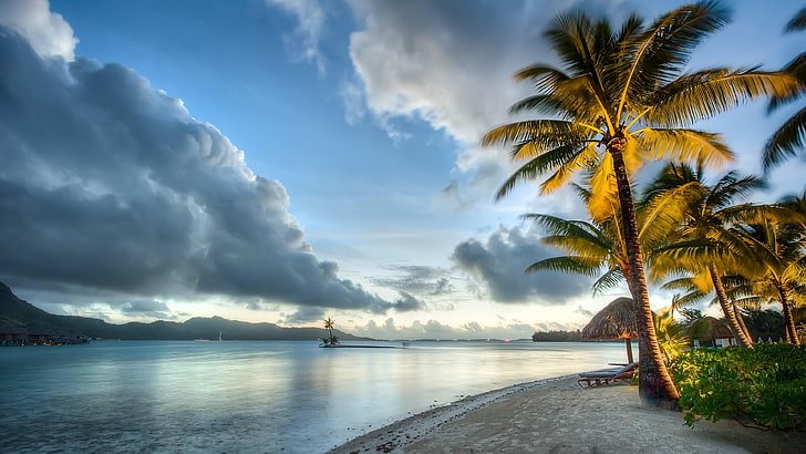 bora bora, beach, shore, ocean, exotic, palms, clouds, HD wallpaper