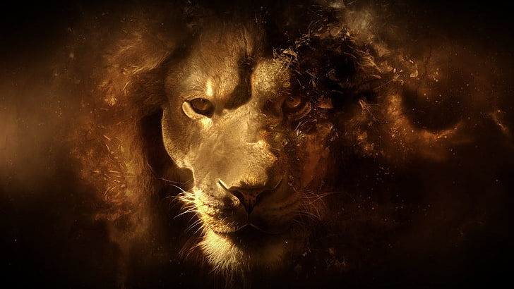 วอลล์เปเปอร์สิงโตตัวผู้สิงโตสัตว์ศิลปะดิจิตอล, วอลล์เปเปอร์ HD
